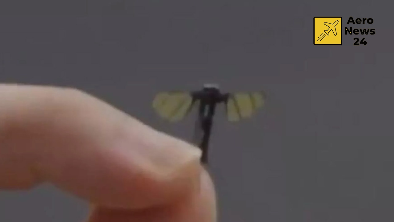 So klein wie eine Mücke: Micro Combat UAV aus China!