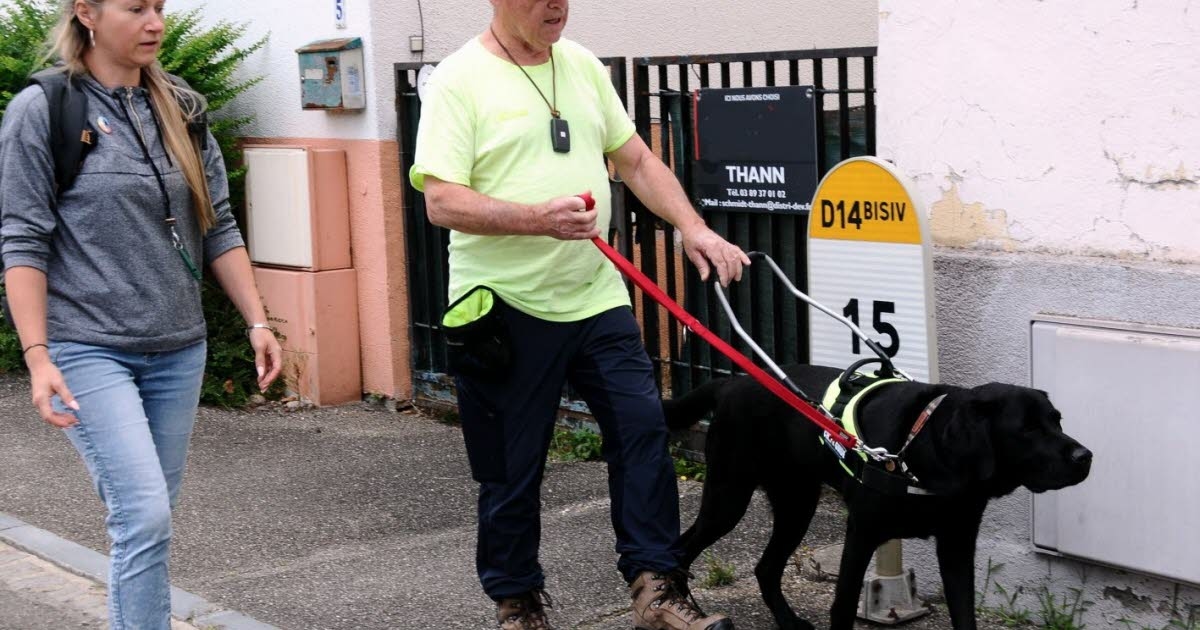 Cernay. Cannelle, Lima, Urus: tres perros para guiar a Gilbert