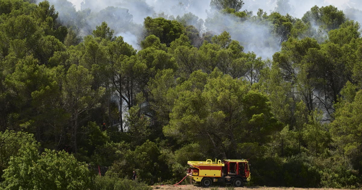 In diretta. Ondata di calore: alto rischio di incendi in 29 dipartimenti, 14 in allerta rossa per ondata di calore