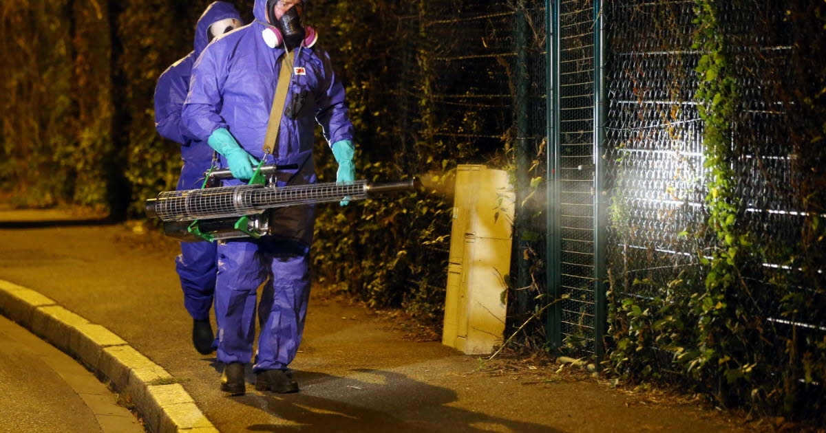Obernai. Detectado dengue, planificado el control de mosquitos.