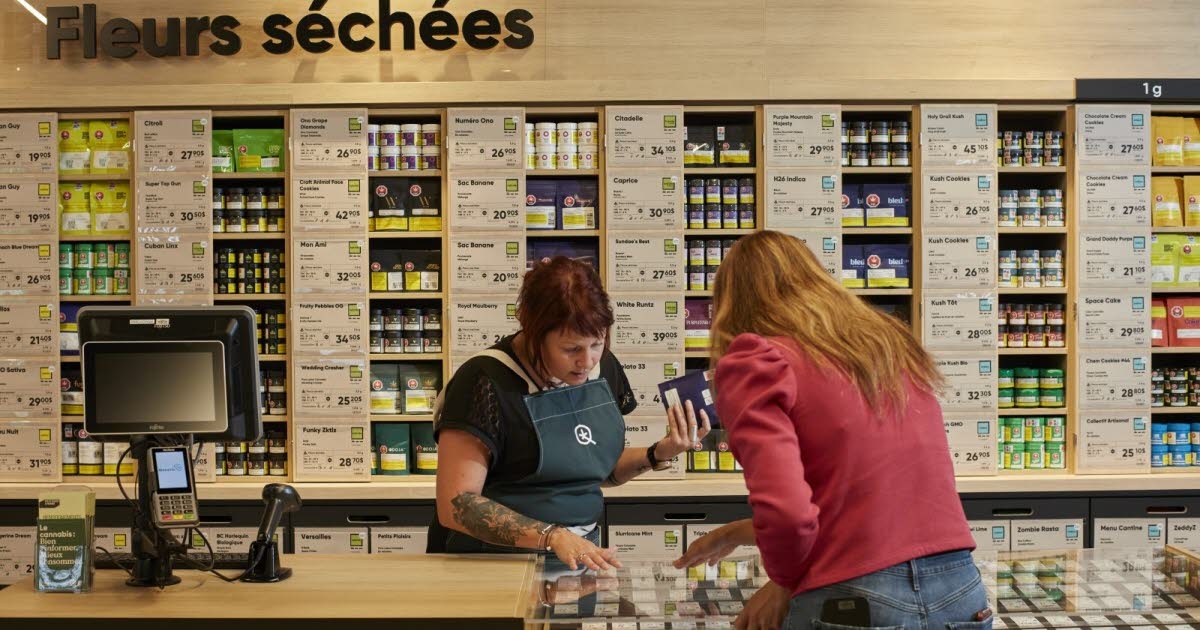 Canada. "Porta molti soldi allo Stato": in Quebec la cannabis ha trovato il suo modello legale
