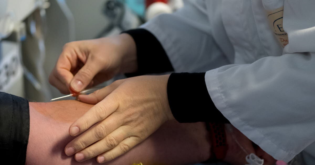 Basso Reno. Donazione del sangue: dal 1° settembre cambiano i criteri di selezione dei donatori