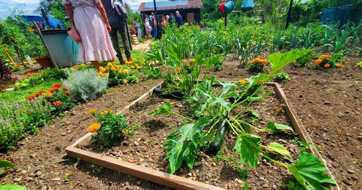 Colmar: Un jardín compartido para mujeres en remisión de cáncer