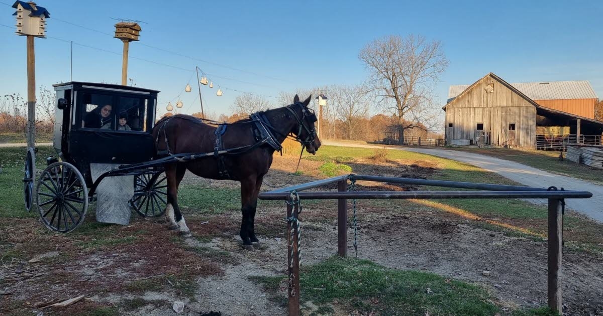 Inusual. Un osteópata de Mulhouse viaja a Estados Unidos y ejerce en territorio Amish.
