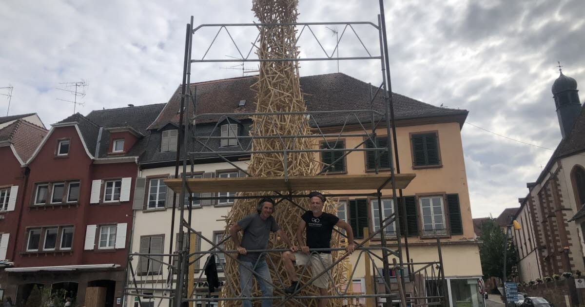 Saverne. Siedmiometrowa alpaka w centrum miasta