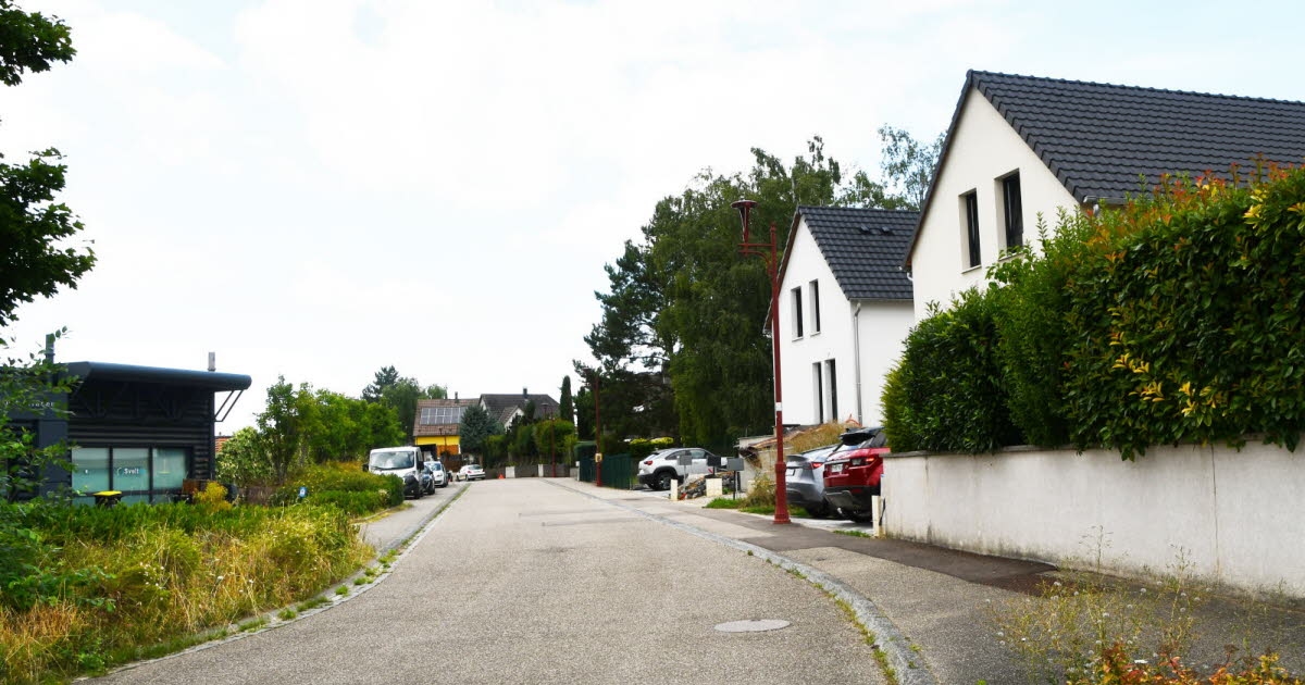 Strasbourg and Truchtersheim: Two mosquito control operations following the discovery of a case of Zika