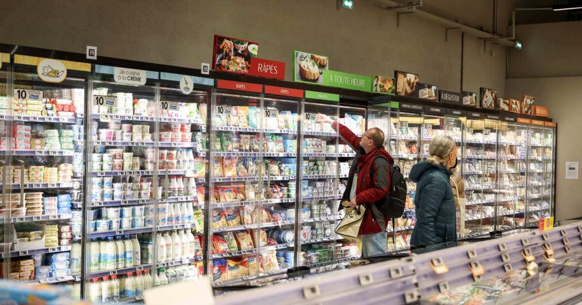 Consumo. Camembert, formaggi di capra, brie: più di 40 formaggi ritirati dal mercato per sospetta listeria