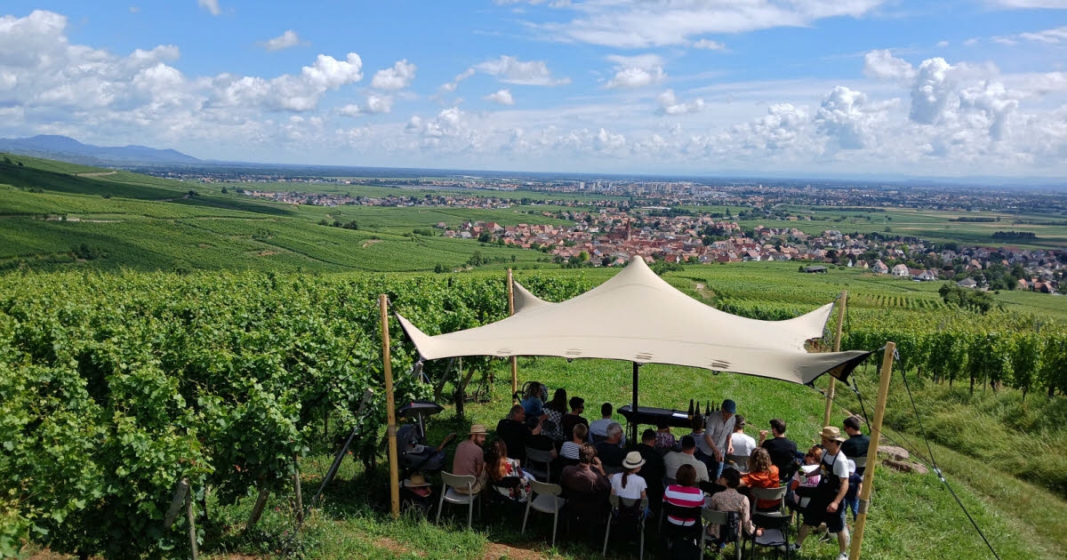 Katzenthal. The Tour of Terroirs stops at Wineck