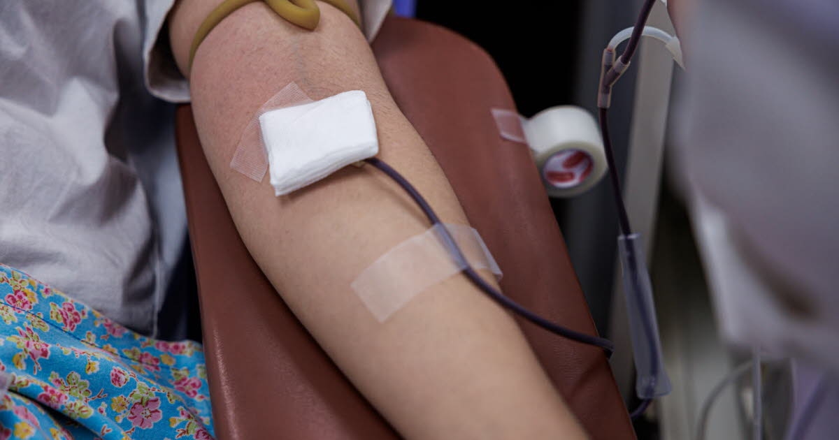 Salud. Donación de sangre: el tiempo de espera se reduce a dos meses tras un tatuaje o piercing.