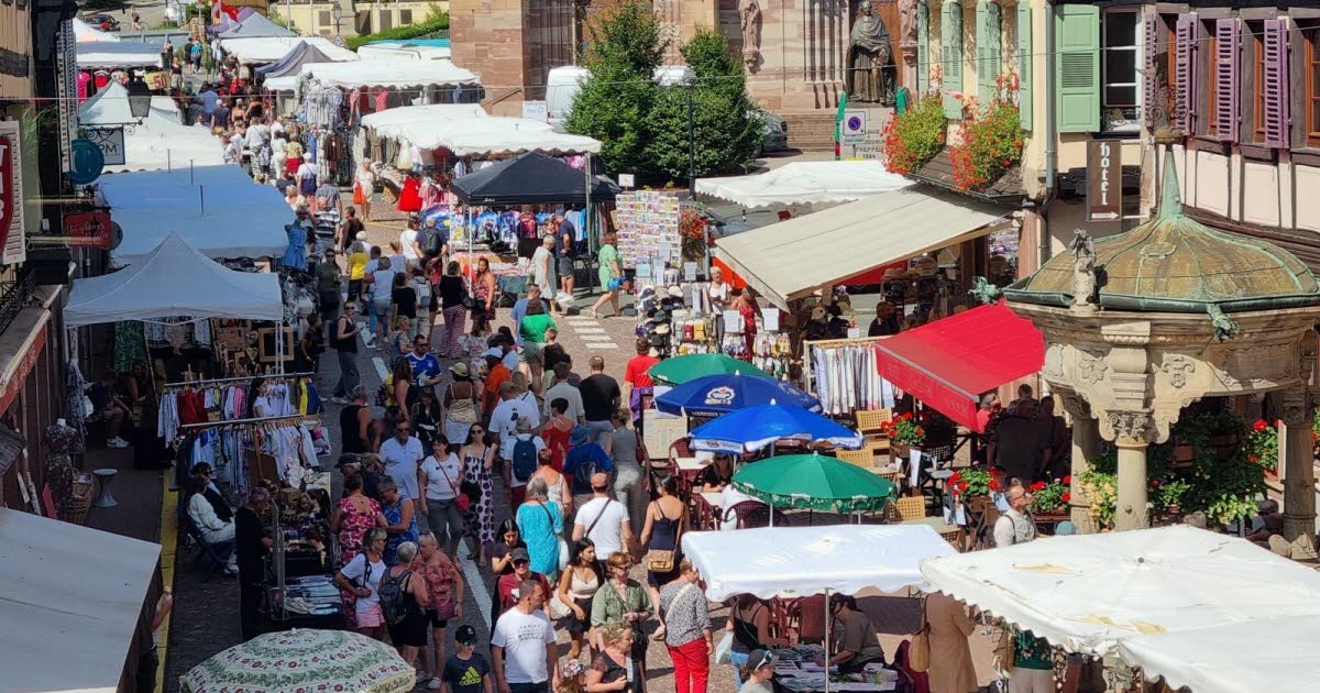 Obernai. Quase 150 expositores são esperados no grande mercado anual na quinta-feira, 21 de agosto.