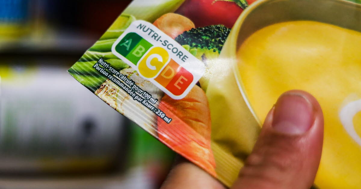 Salud. Por qué los alimentos ultraprocesados ​​también influyen en la fertilidad.