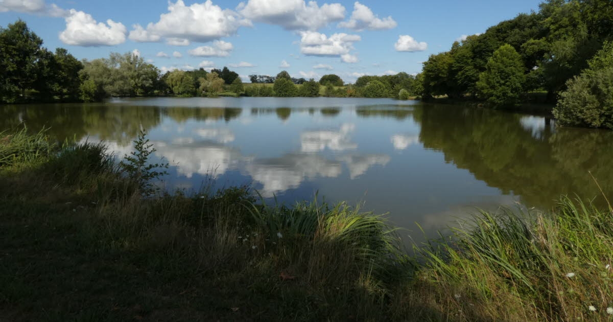Saillenard. Chanceveau-Teich, eine natürliche Oase der Ruhe und Beschaulichkeit