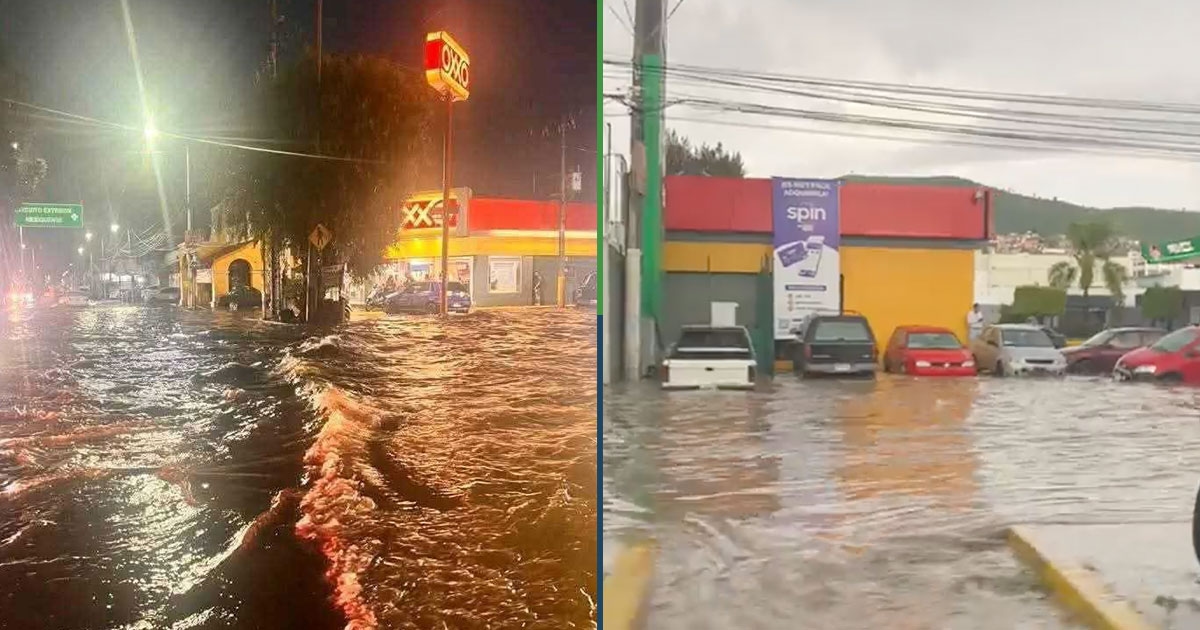 Eles confirmam que Oxxos já estão sendo colocados nas praias.