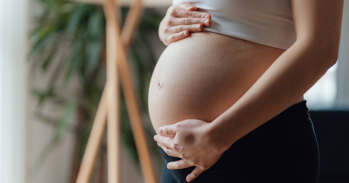 "Gravi conseguenze" per le donne incinte con la diffusione del virus Oropouche
