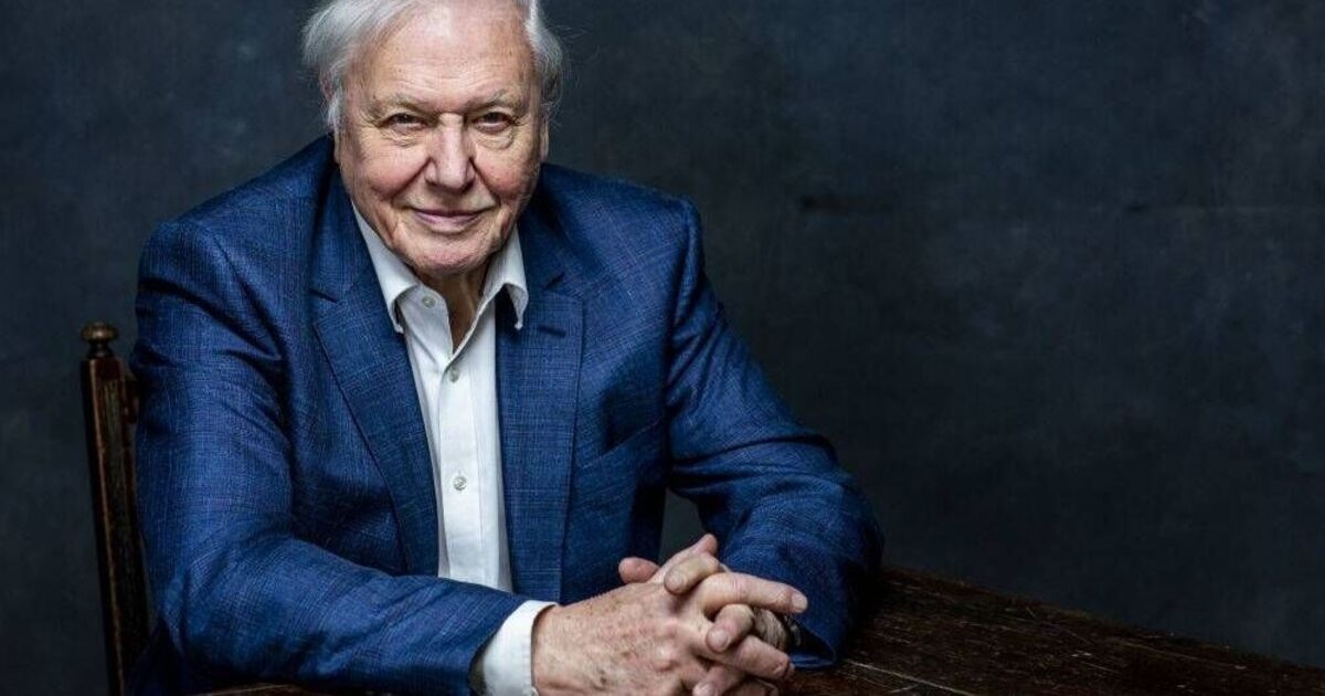 David Attenborough indulges in an urban safari for new BBC documentary