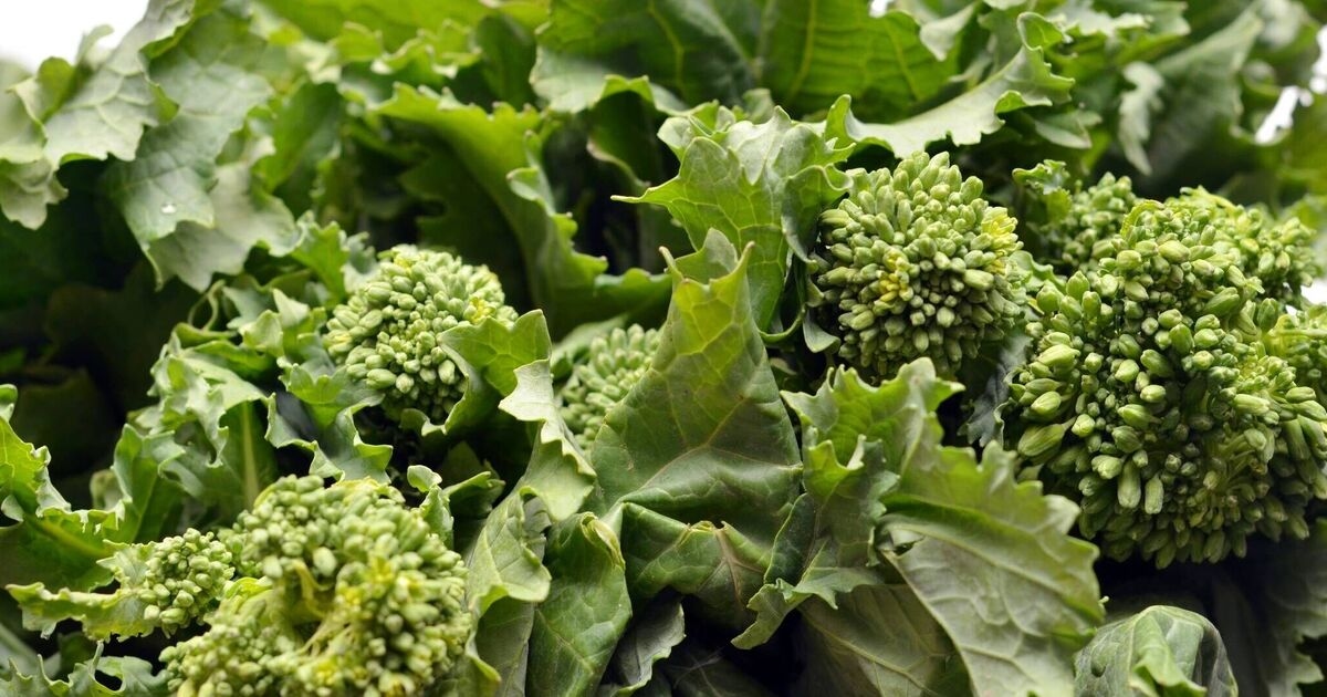 Adding one green vegetable to your diet can cut cancer and diabetes risk