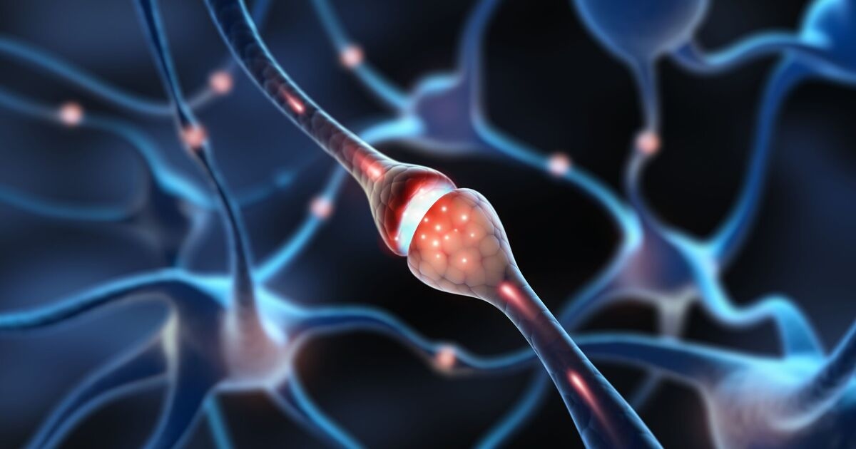 Künstliche Intelligenz bietet neue Hoffnung bei der Erschließung komplexer Daten für die Behandlung von MND