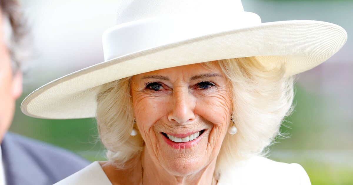 Was ist eine akute Sinusitis? Symptome erklärt, nachdem Königin Camilla von einem Großereignis zurückgetreten ist
