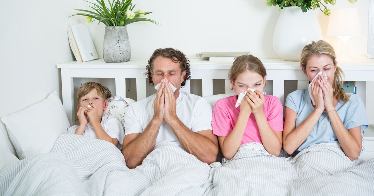 Three ingredients for autumn foods that could protect family from flu