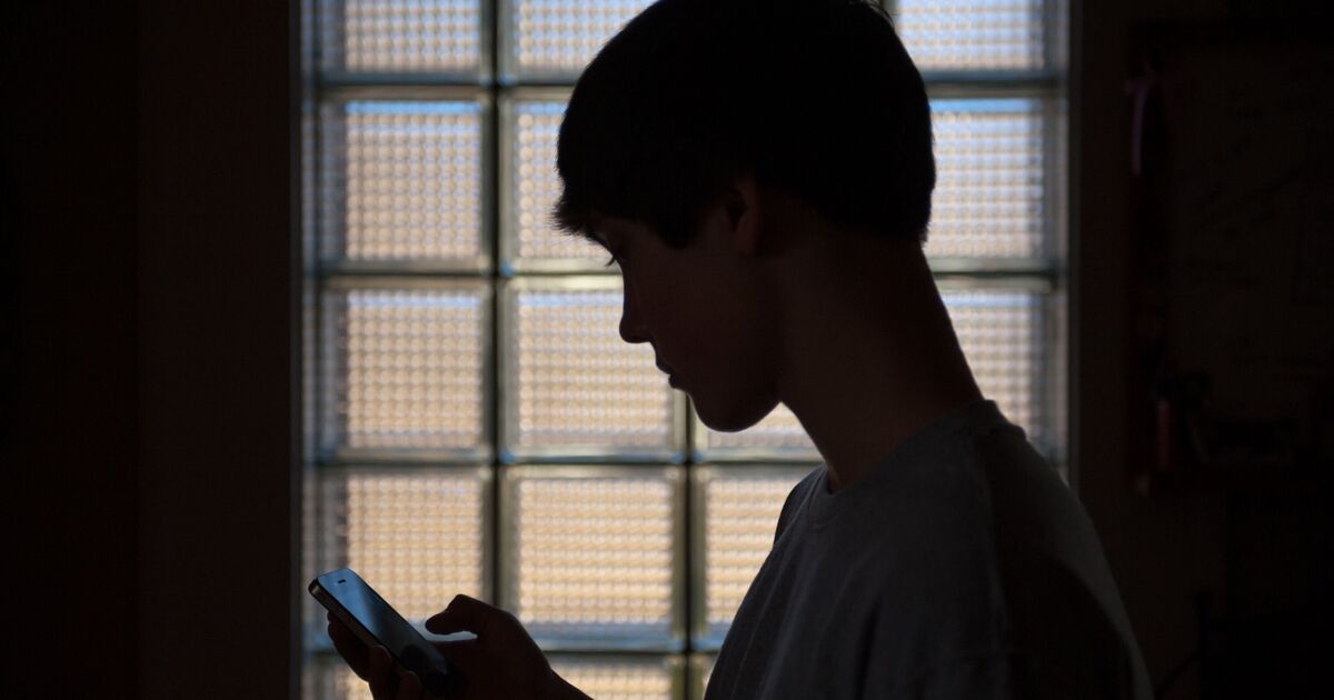 Britons say rules to keep kids off adult websites won't work