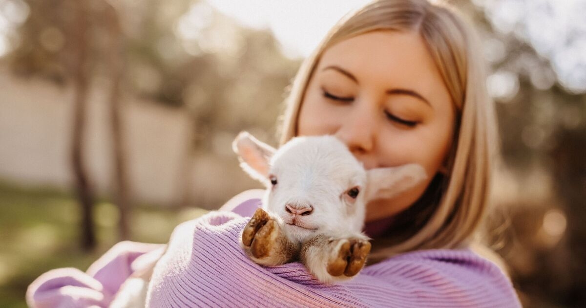 Vegetarians are not kinder than meat-eaters, according to research