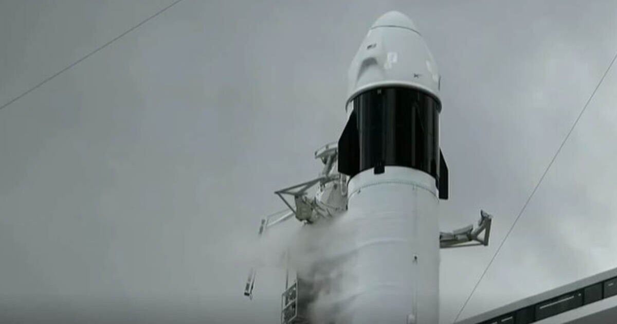 Moment waarop de lancering van NASA SpaceX Crew-11 wordt afgebroken, slechts enkele seconden voor de lancering