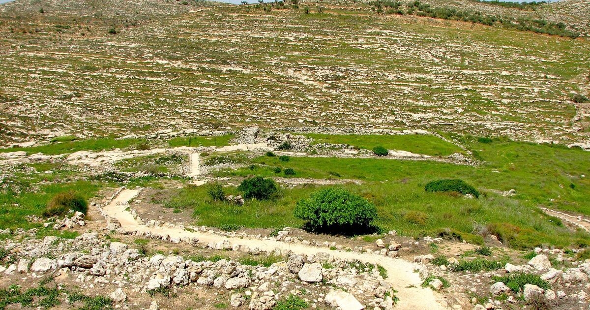Archaeologists make shocking Ark of the Covenant discovery