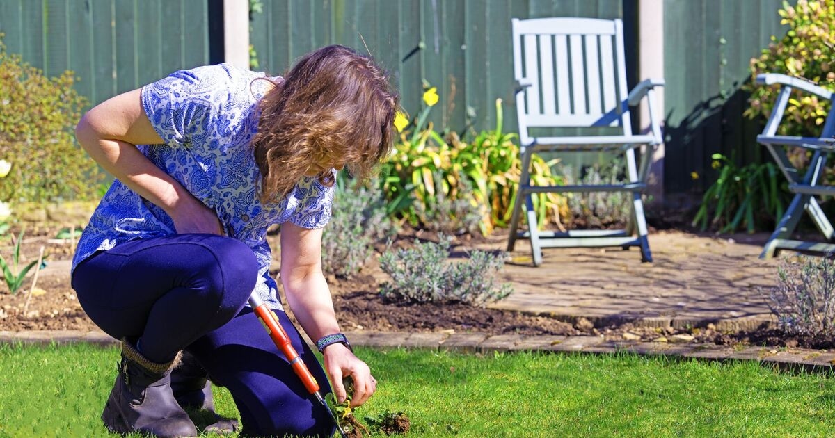 Anyone with a garden in UK told to act for massive £53,000 potential boost