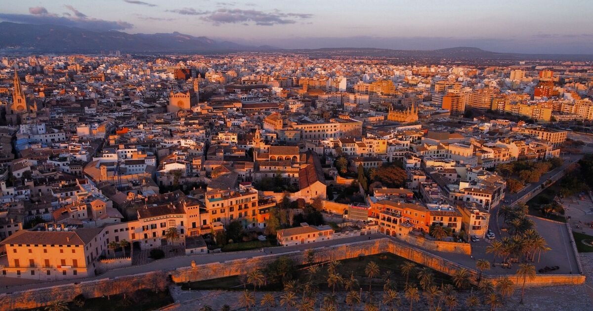 Spain's tourist island 'invaded' foreign snake species
