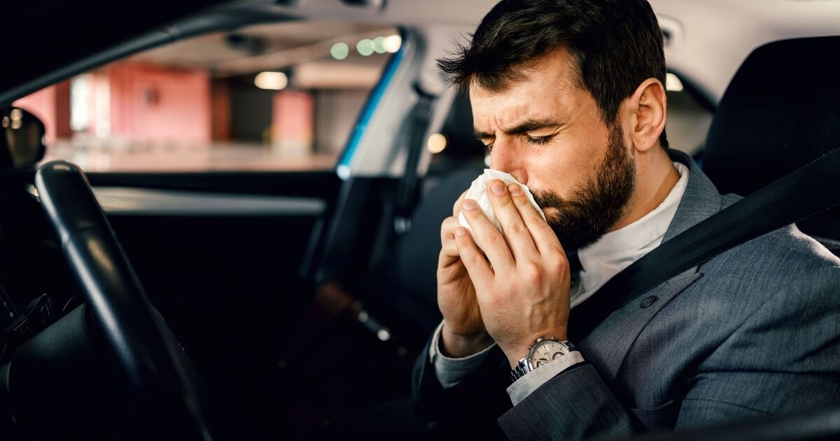 Expert says drivers with hay fever could face £2,500 fine and risk of 'driving ban'