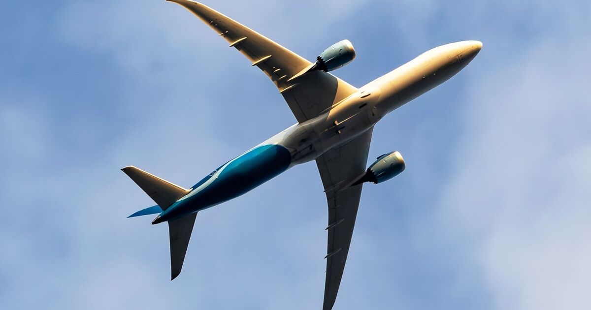 Menschen mit Heuschnupfen und Allergien erhalten eine Meldung über häufige Beschwerden im Flugzeug