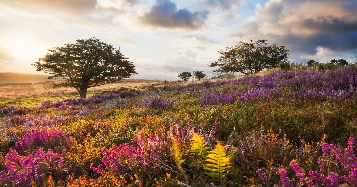 Nationalpark mit „kosmischem Himmel“ zählt zu den am meisten unterschätzten Urlaubszielen Großbritanniens