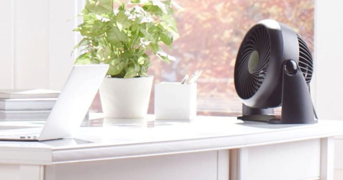 Amazon drops price of 'powerhouse' fan to less than £25 in time for UK heatwave