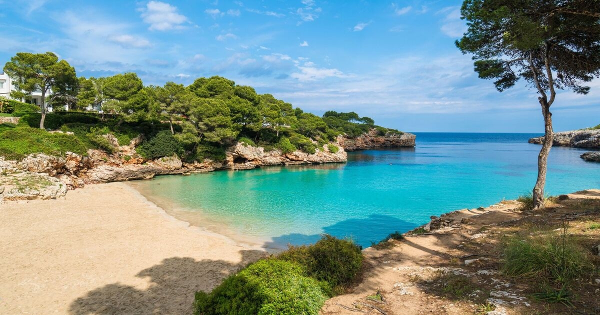Empty beaches in Majorca as impact of protesters scaring off British tourists laid bare