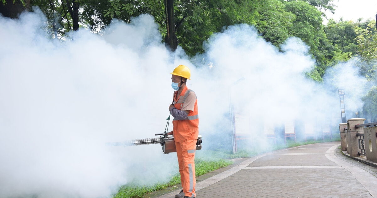 Dringende Impfwarnung für China-Reisende angesichts des anhaltenden Ausbruchs des schrecklichen Chikungunya-Virus