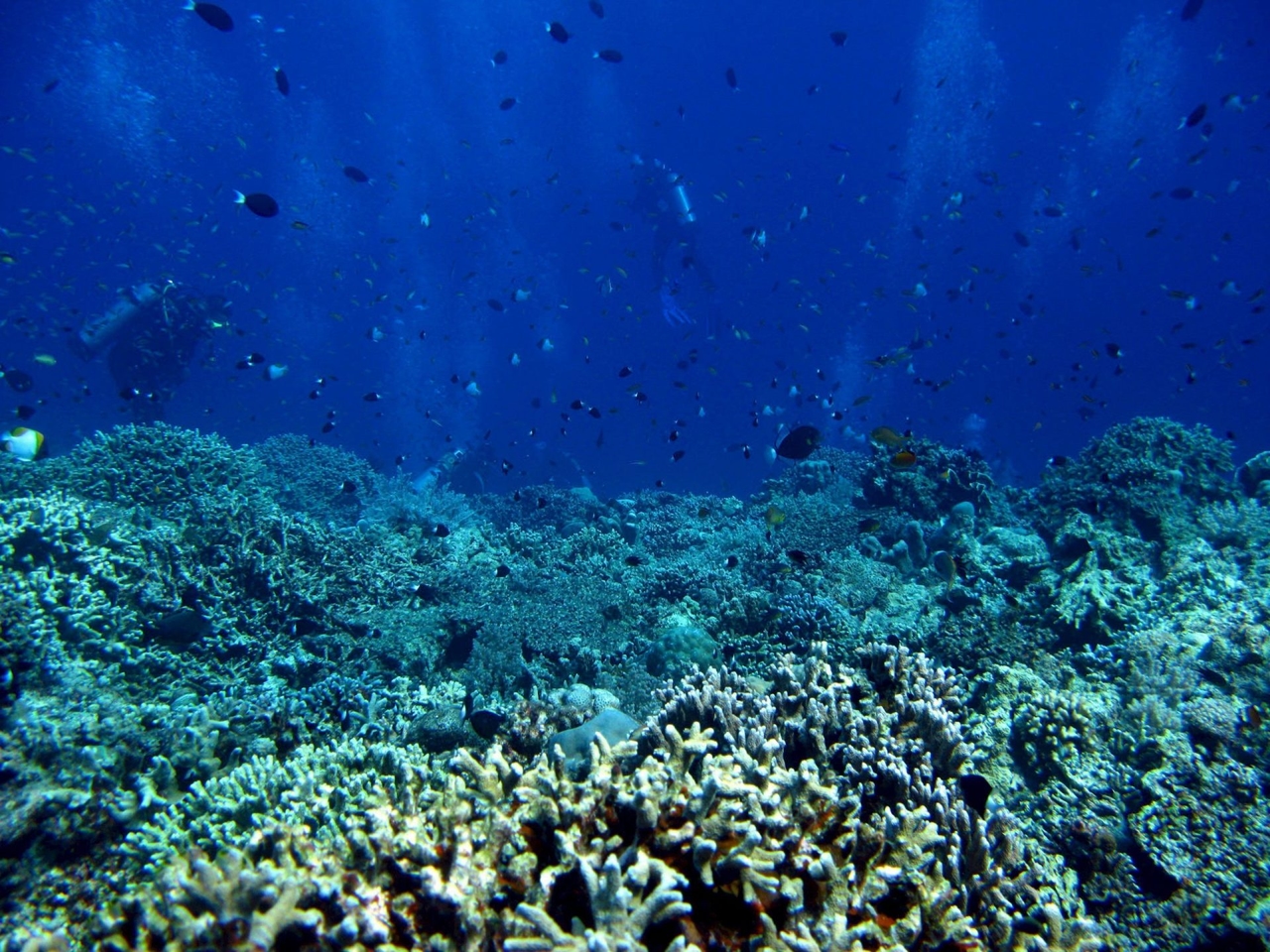 Il Trattato globale sugli oceani raggiunge le 60 ratifiche per la sua entrata in vigore.