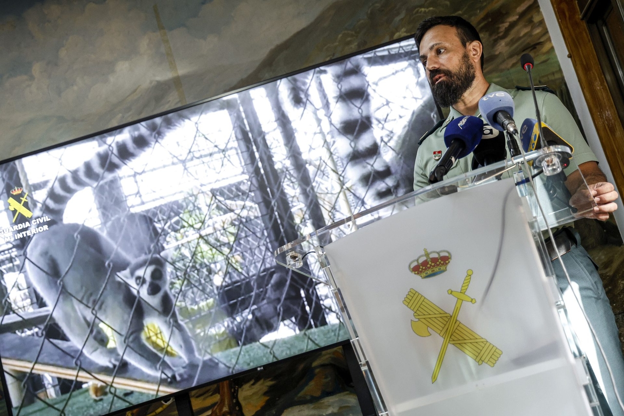 A Nules (Castellón) è stato smantellato uno zoo privato clandestino con 150 animali esotici.