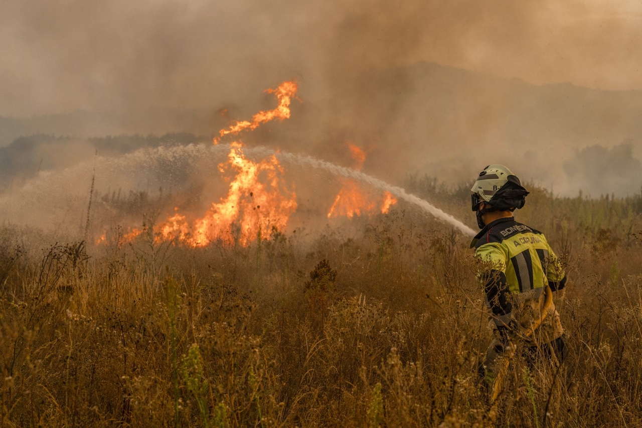 ¡Los Incendios Forestales se apagan en invierno! y los de Sexta Generación necesitarán mucha innovación financiera y tecnológica. Por Jose Leopoldo Lindo