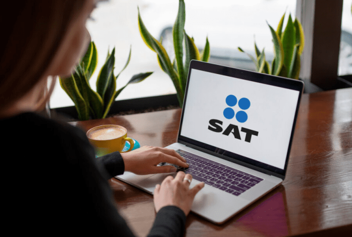Maximum Security: Protect Your Tax Data When Doing SAT Procedures on Your Cell Phone (Tips 2025)