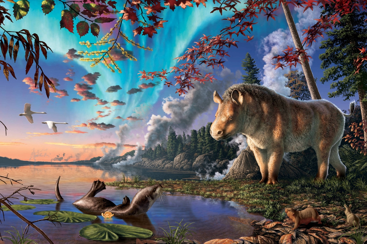 23 miljoen jaar geleden zwierf er een hoornloze neushoorn rond in het Canadese poolgebied.