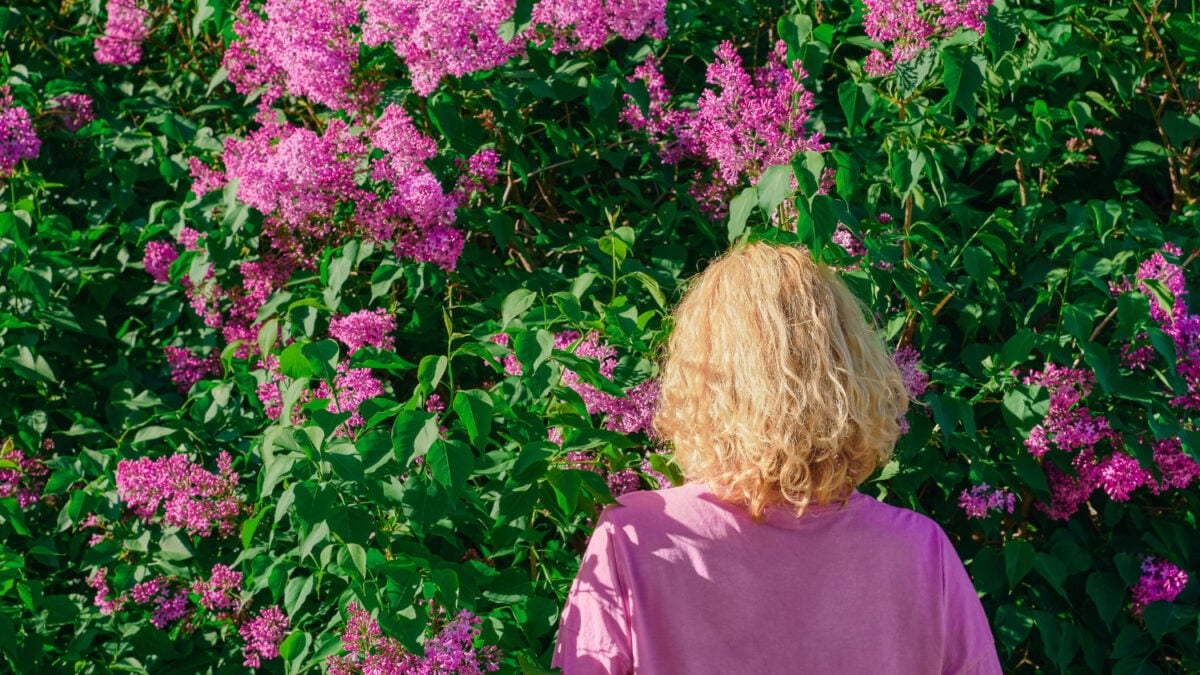 Things Humans Still Do Better Than AI: Understanding Flowers
