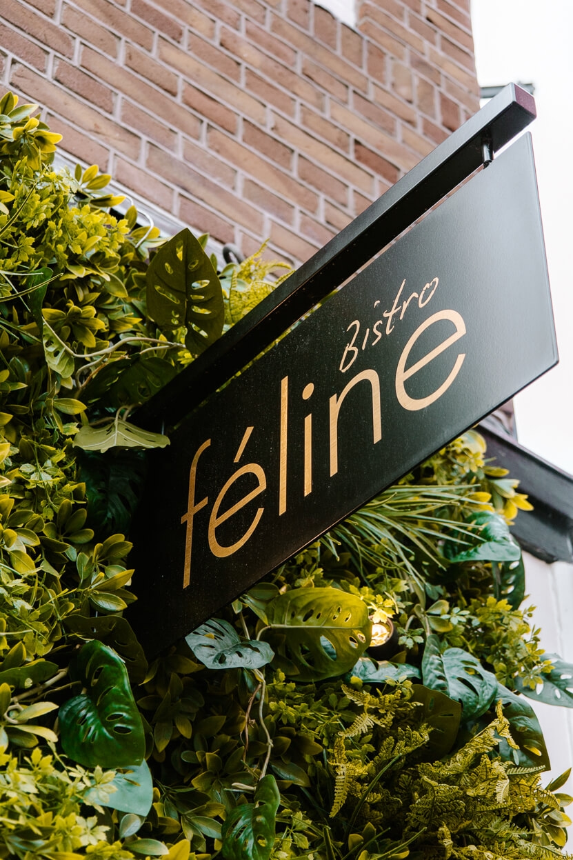 Bistro Féline Amsterdam: francuski styl i wykwintna kuchnia w dzielnicy Jordaan