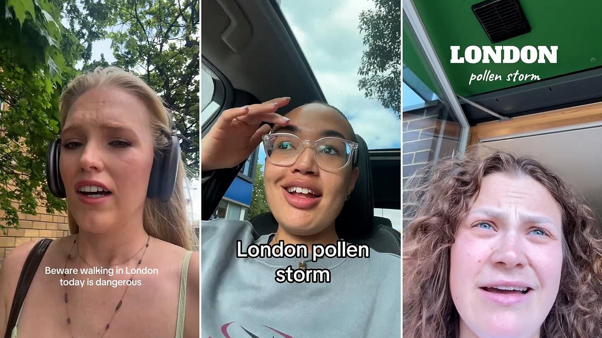Mysteriöse Pollenbombe trifft London: Verblüffte Einwohner klagen über Engegefühl in der Brust, rote Augen und geistige Verwirrung – trotz niedriger Pollenwerte