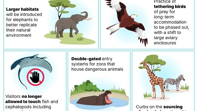 Britain's zoo OVERHAUL: UK animal parks will be forced to introduce larger habitats for elephants, ban touching in aquariums and ditch tethering birds under new government rules