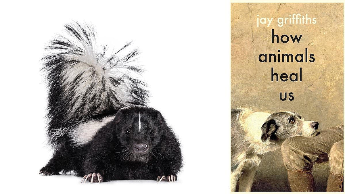 Cómo nos curan los animales, por Jay Griffiths: Olvídate de los perros y consigue una mofeta terapéutica