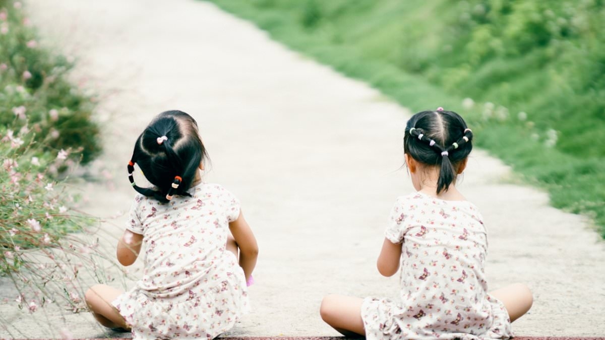 Hijas del bosque de bambú de Barbara Demick: Gemelas separadas por el gobierno chino... una de ellas vendida a Estados Unidos