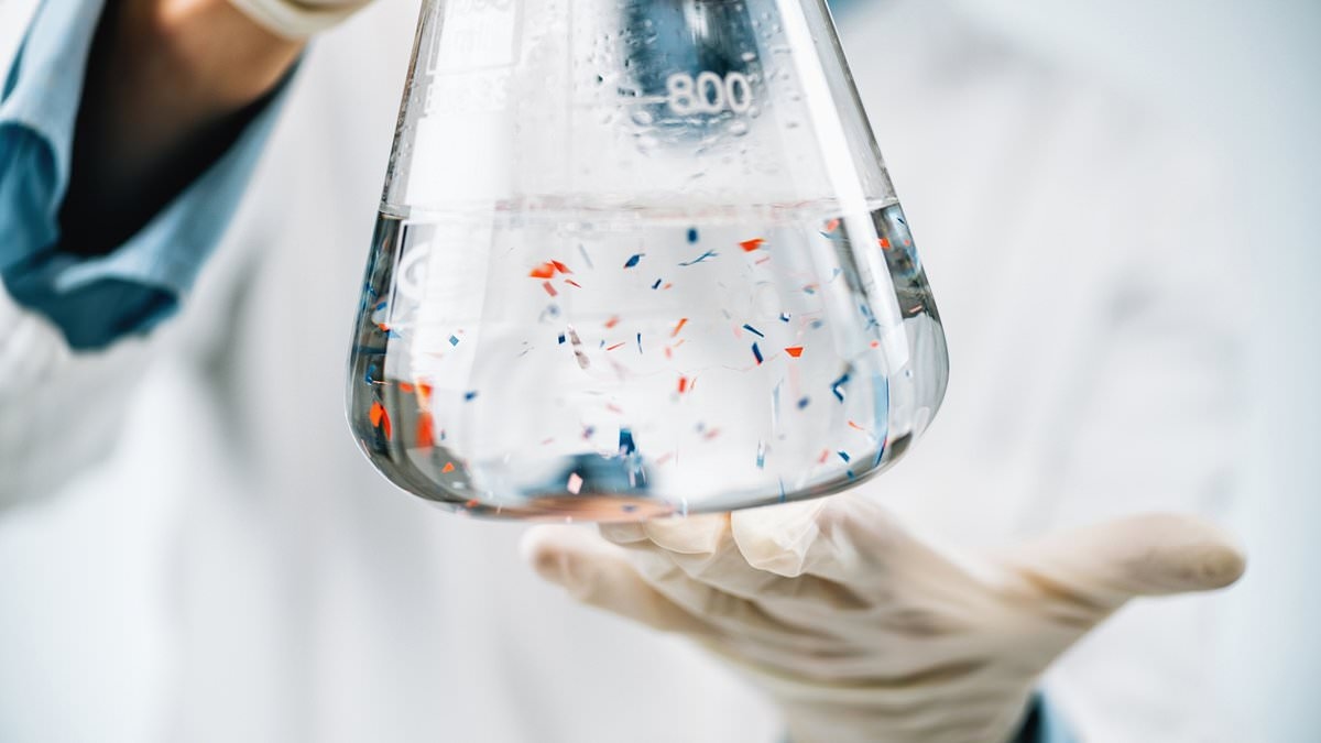 O guia do especialista sobre o que os microplásticos fazem ao seu corpo - e 22 maneiras de minimizar o risco