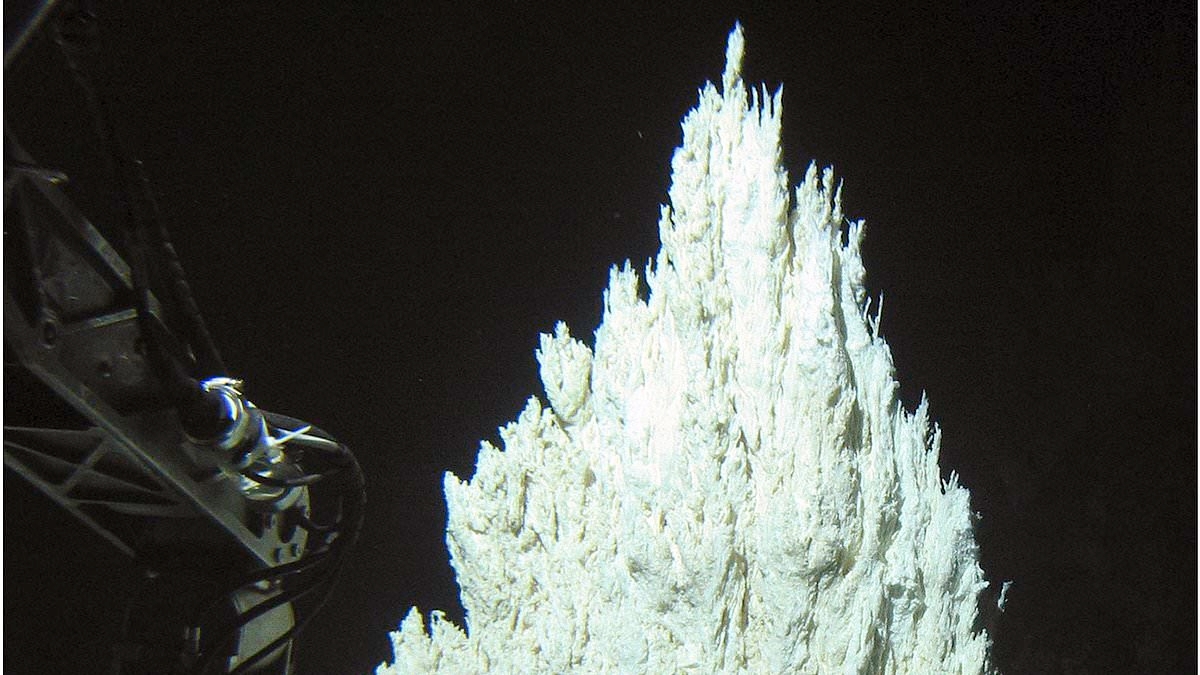 Un'antica "città perduta" ritrovata sul fondo dell'Oceano Atlantico contiene indizi sulle origini della vita