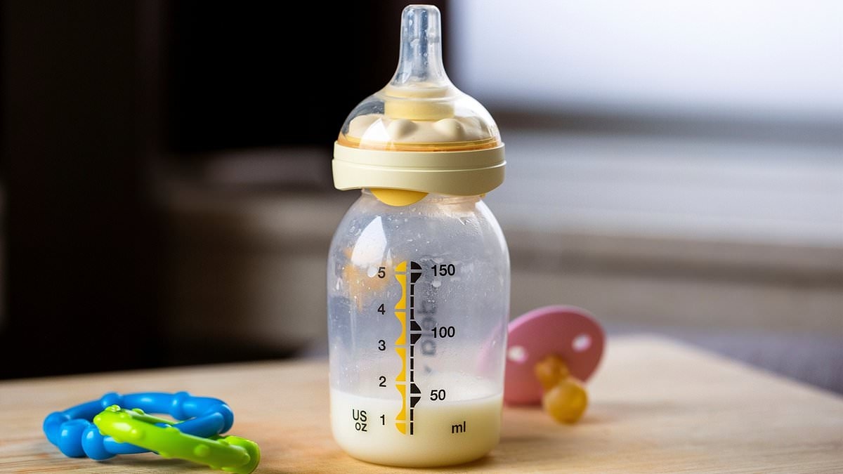 Le microplastiche che si nascondono nei pensili della cucina: gli esperti rivelano i prodotti più diffusi che rilasciano le particelle più pericolose, tra cui bustine di tè, biberon e taglieri.