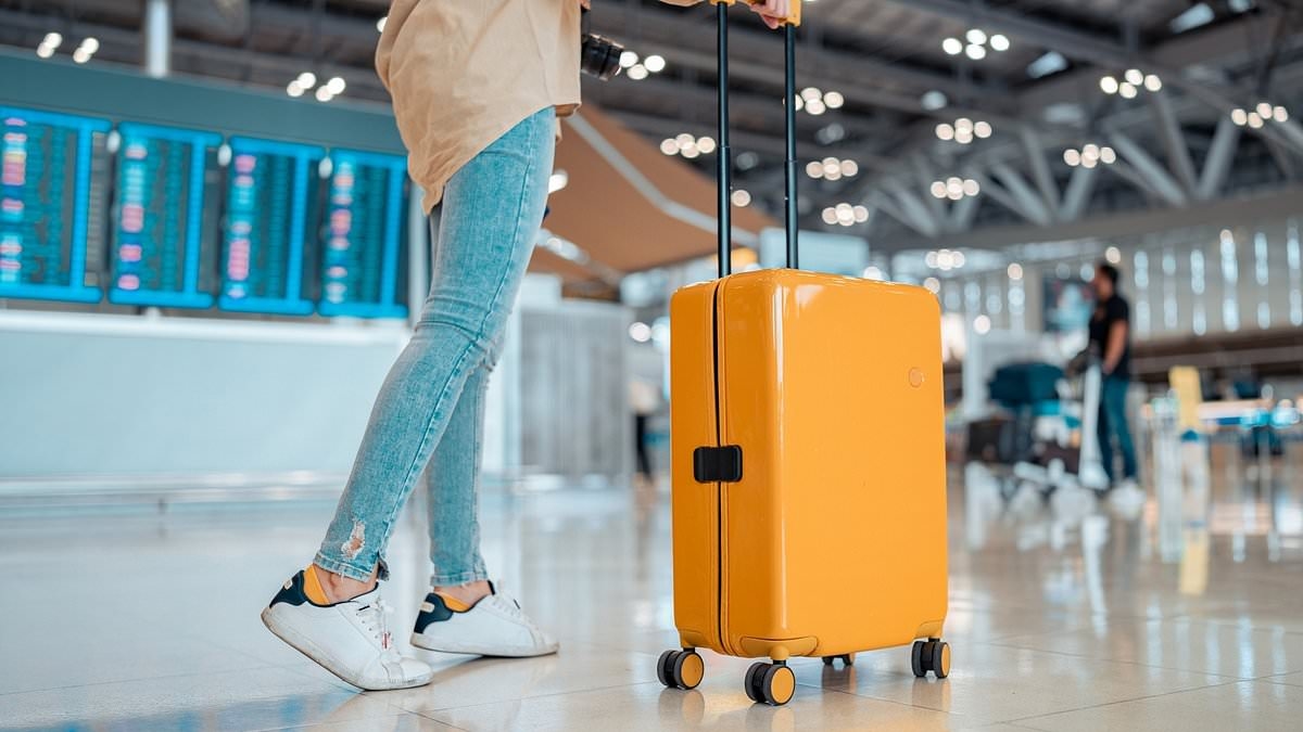 I passeggeri che viaggiano in Europa potranno portare a bordo gratuitamente il bagaglio a mano, poiché le nuove regole impediranno alle compagnie aeree di addebitare costi aggiuntivi.